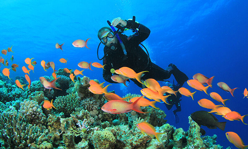 SÖMESTR ÖZEL ANTİK MISIR TURU 7 GECE 9 GÜN