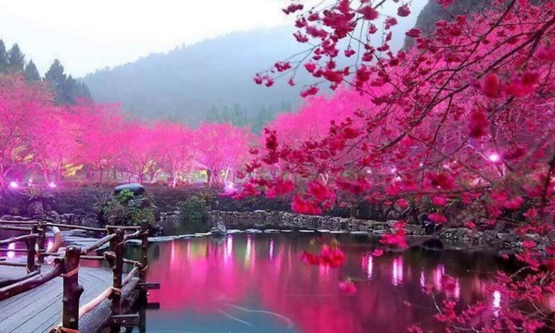 6 GECE OTEL KONAKLAMALI 8 GÜN KOREA&JAPONYA (Tüm Ekstra Turlar Dahildir)