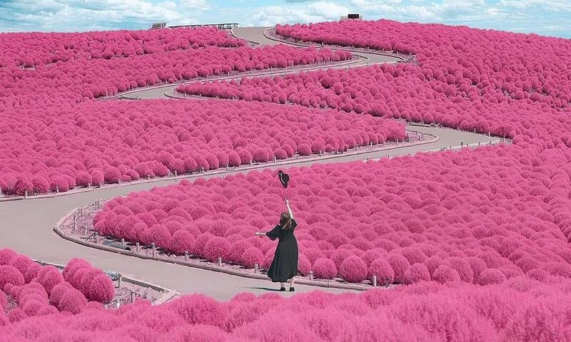 THY ÇIKIŞLI JAPONYA KORE TURU 1O GECE 12 GÜN