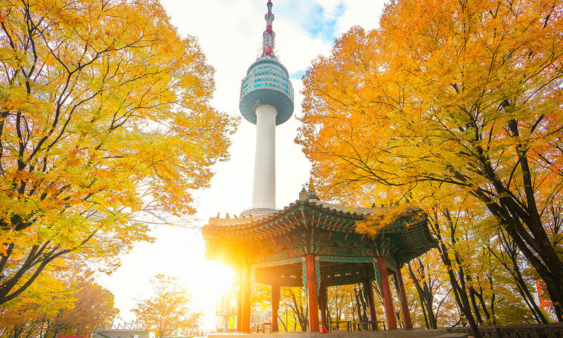 THY ÇIKIŞLI JAPONYA KORE TURU 1O GECE 12 GÜN